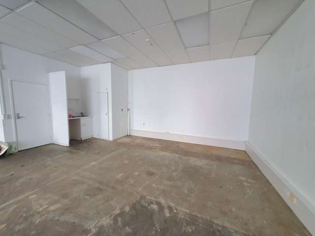 Unit 4/375 Khyber Pass Road Newmarket_4