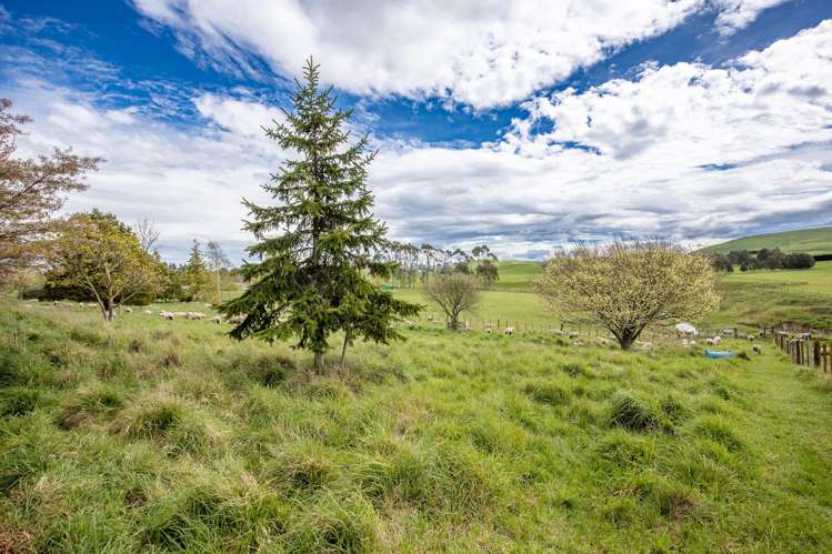 425 Te Kura Road Otane_34