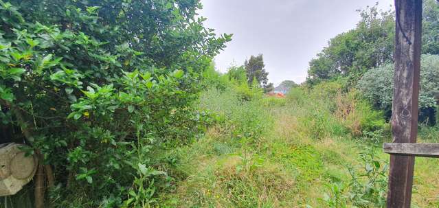 1564A Dominion Road extension Mount Roskill_1