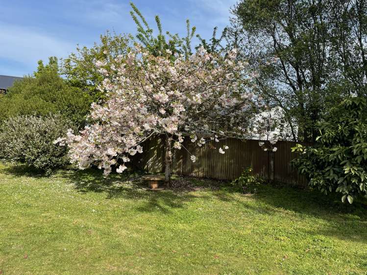 9 Tawa Street Mangakino_22