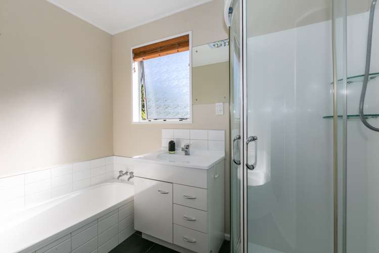 12 Lyttelton Crescent Tamatea_10