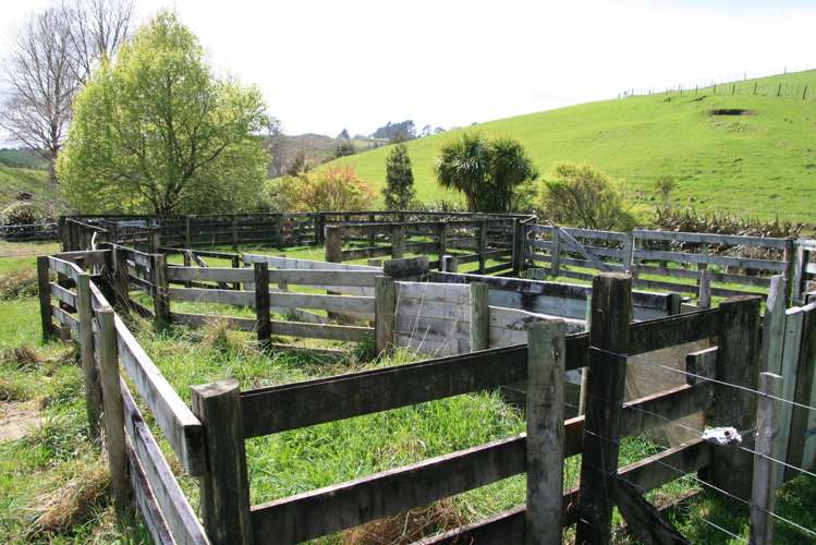 385 Wortley Road Lepperton_12