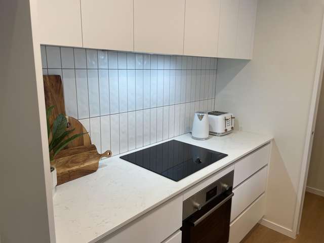 92 Metoriti Cres Paerata_2