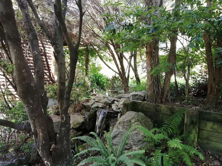 49 Brougham Street Nelson South_12