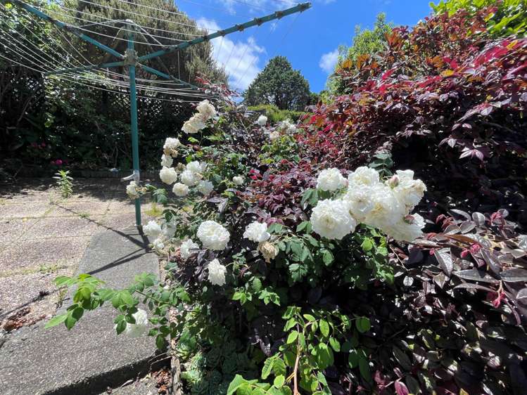 20 Sovereign Place Glenfield_20