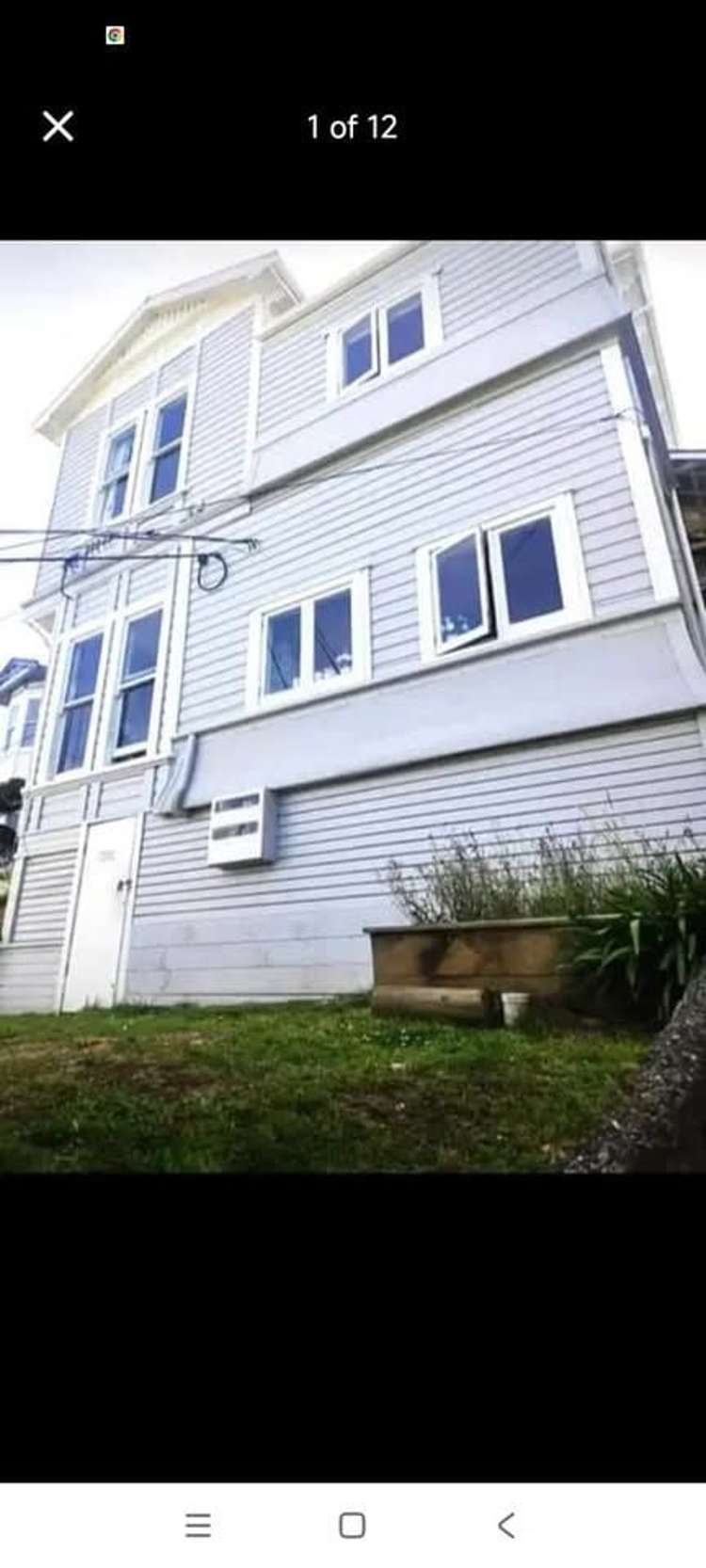 9 Grosvenor Terrace Wadestown_16