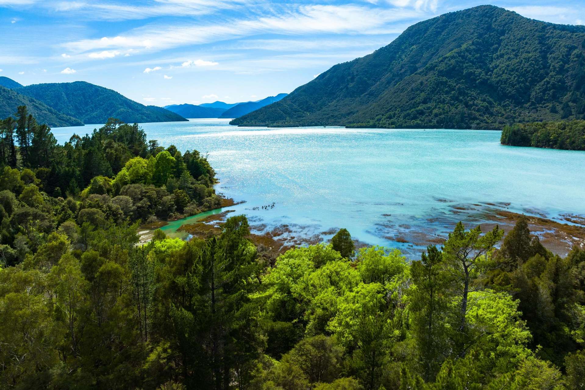 Lot 1 Nydia Bay Marlborough Sounds_0
