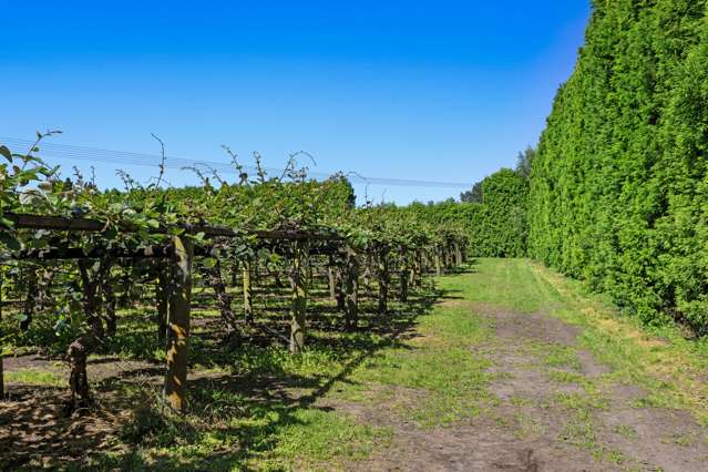 72 Angle Road Awakeri_1