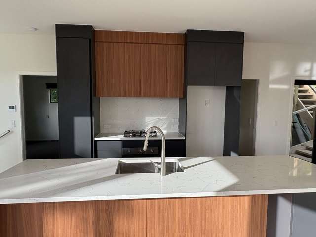 54B Rodrigo Road Kilbirnie_3