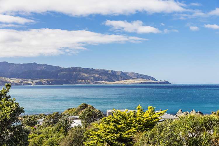 9/52 High Street Island Bay_12