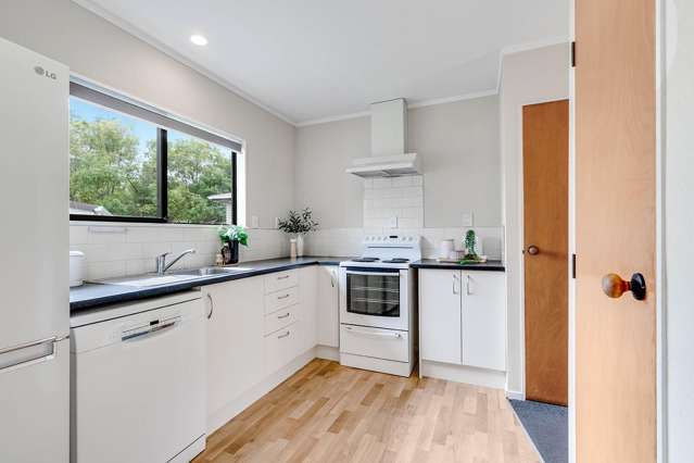 13 Horne Street Hamilton Central_3