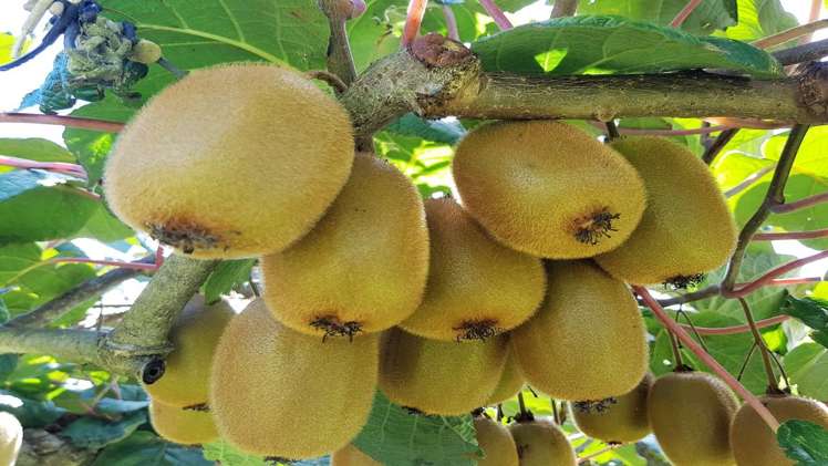 341 Joyce Road Pyes Pa_18