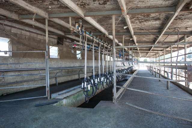 1067 Hauraki Road Paeroa_3