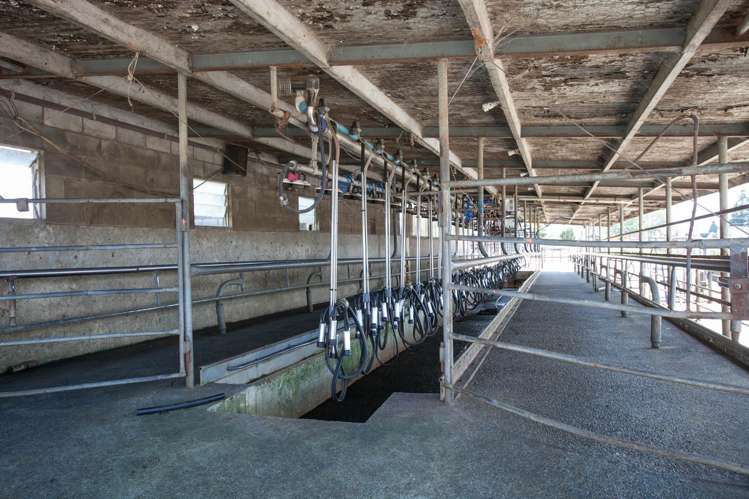 1067 Hauraki Road Paeroa_3