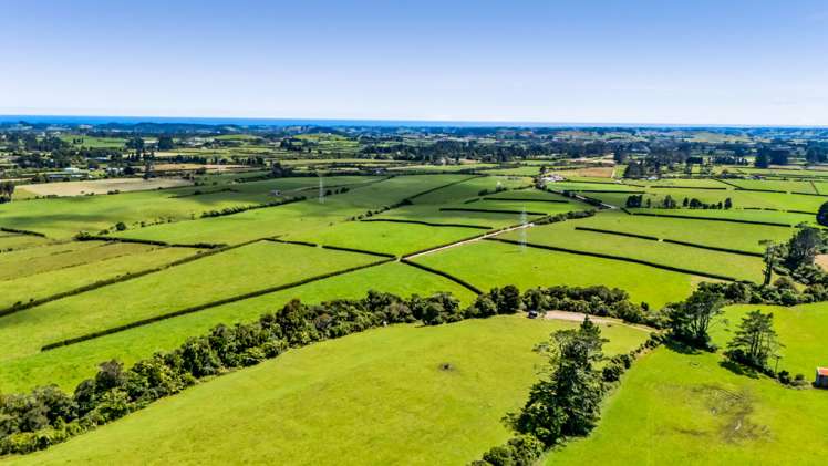 50 Bedford Road North Inglewood_10