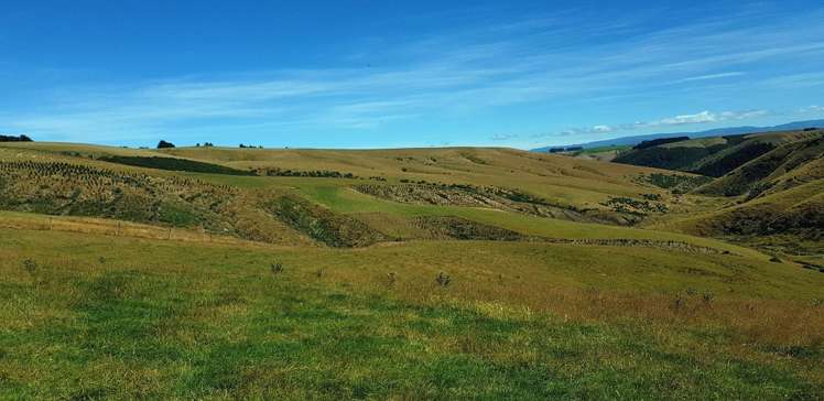 890 Mount Stuart Road Balclutha_4