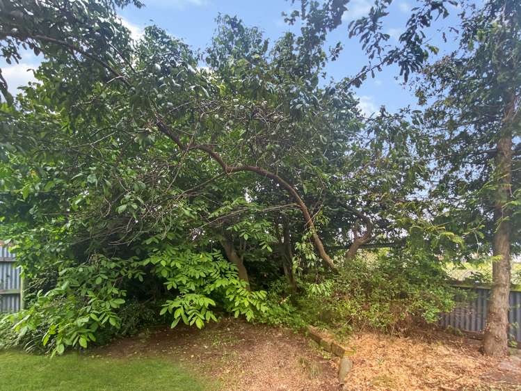 55 Rata Road Twizel_9