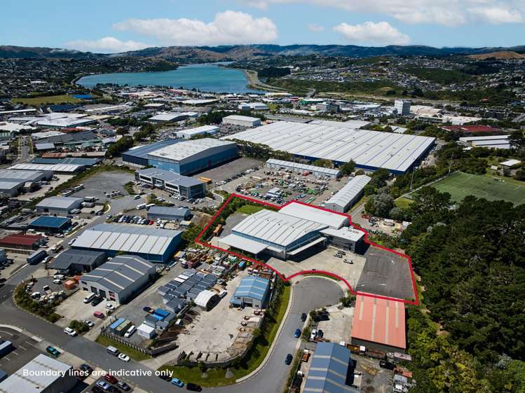 9-11 Matiu Close Elsdon_1