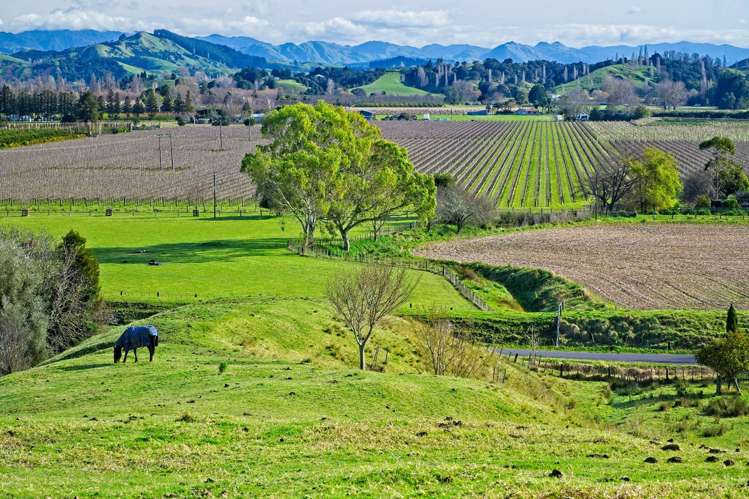 Ormond Valley Road_0