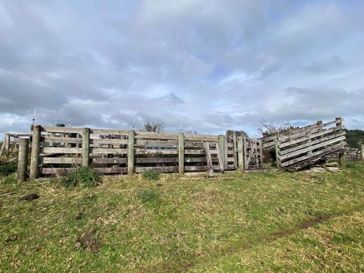 259 Kaipo Flats Road Onewhero_2