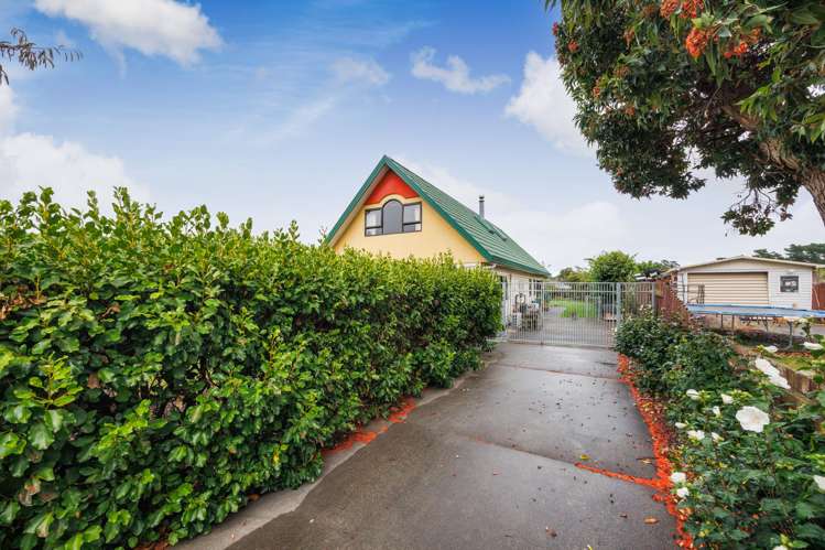 67 Winchester Street Levin_24