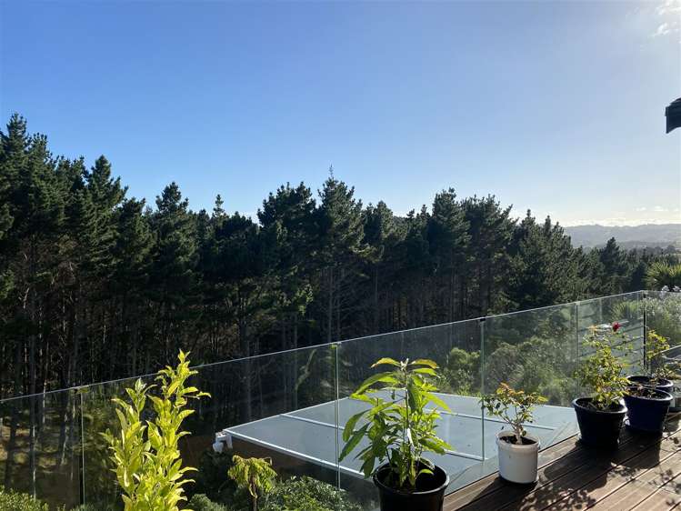 929 Redoubt Road Whitford_25