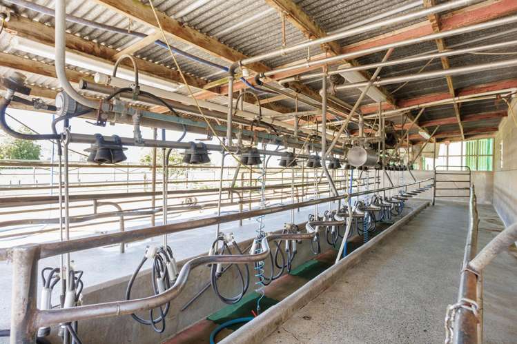 138 Taihoa South Road Matamata_5