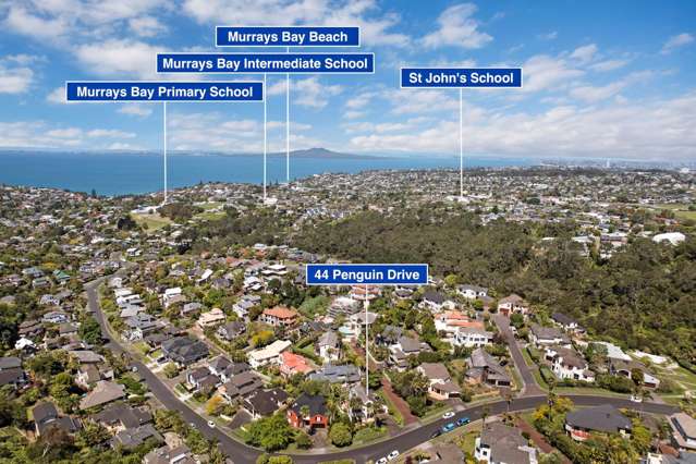 44 Penguin Drive Murrays Bay_2