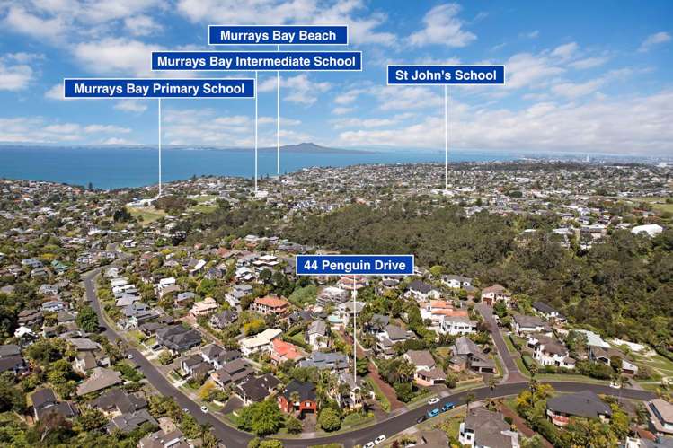44 Penguin Drive Murrays Bay_2