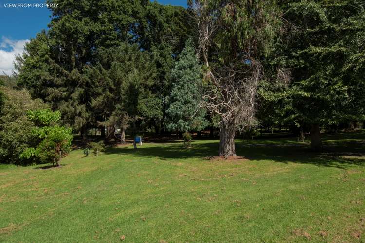 54 Harrier Street Parkvale_27