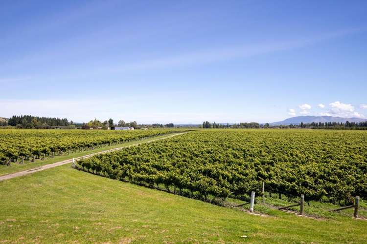 460 Glasnevin Road Amberley_25