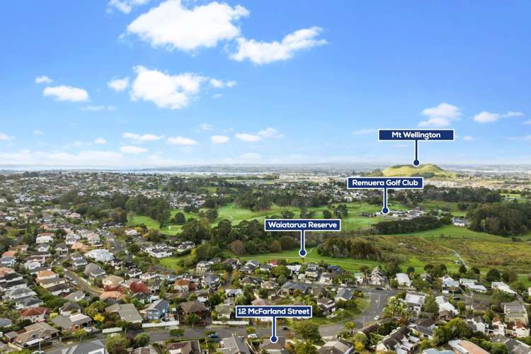 12 Mcfarland Street Remuera_20