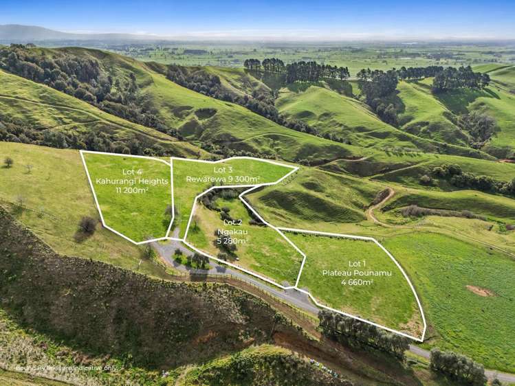 928 Kairangi Road Rotoorangi_9