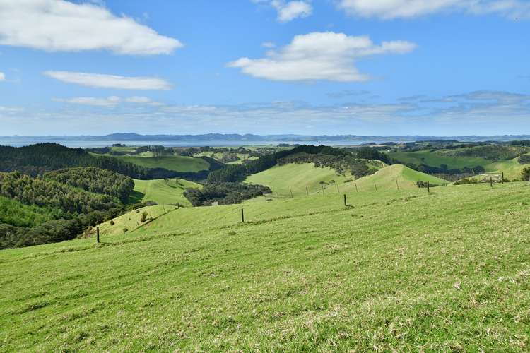 156 Te Kanae Road South Head_15