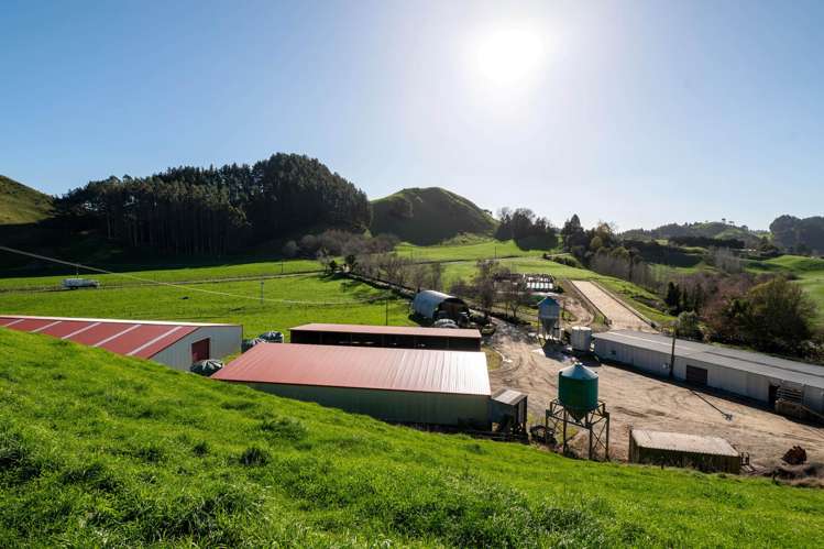 471 Poutakataka Road Ngakuru_15