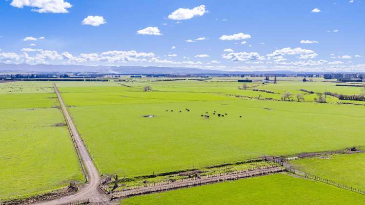 337 Ongaonga Waipukurau Road Ongaonga_8