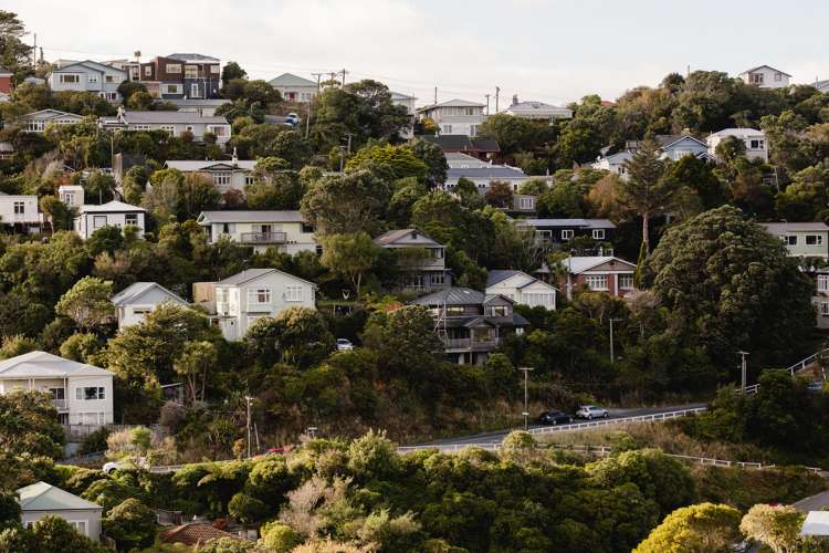 119 Tiketike Way Brooklyn_21