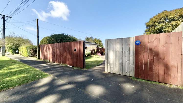 203a Peachgrove Road Claudelands_17