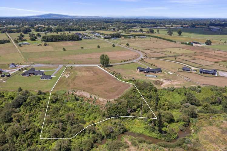 179 Webster Road Matangi_6