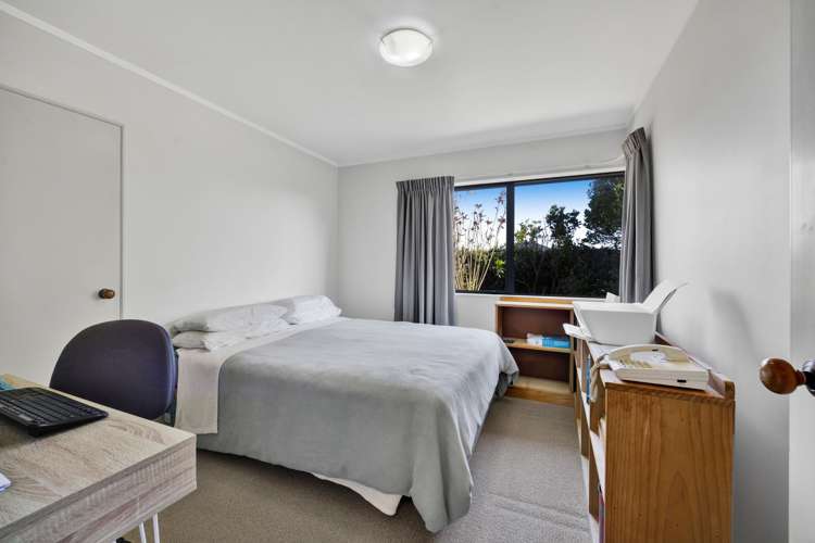 217 Carrington Street Vogeltown_7