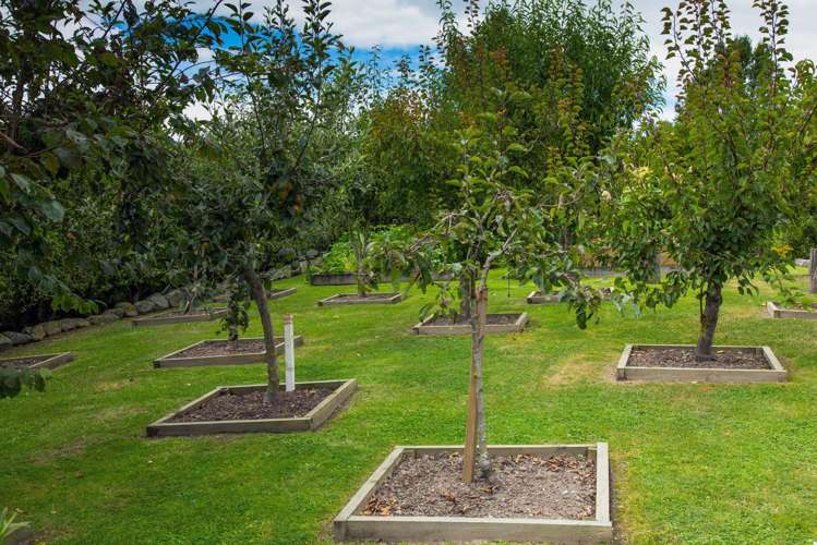 306 Downs Road Geraldine_17