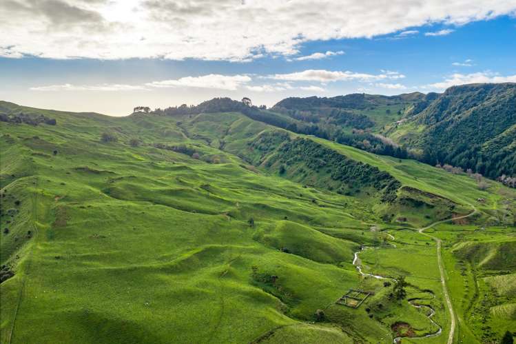 279 Taumatatotara Road Te Kuiti_9
