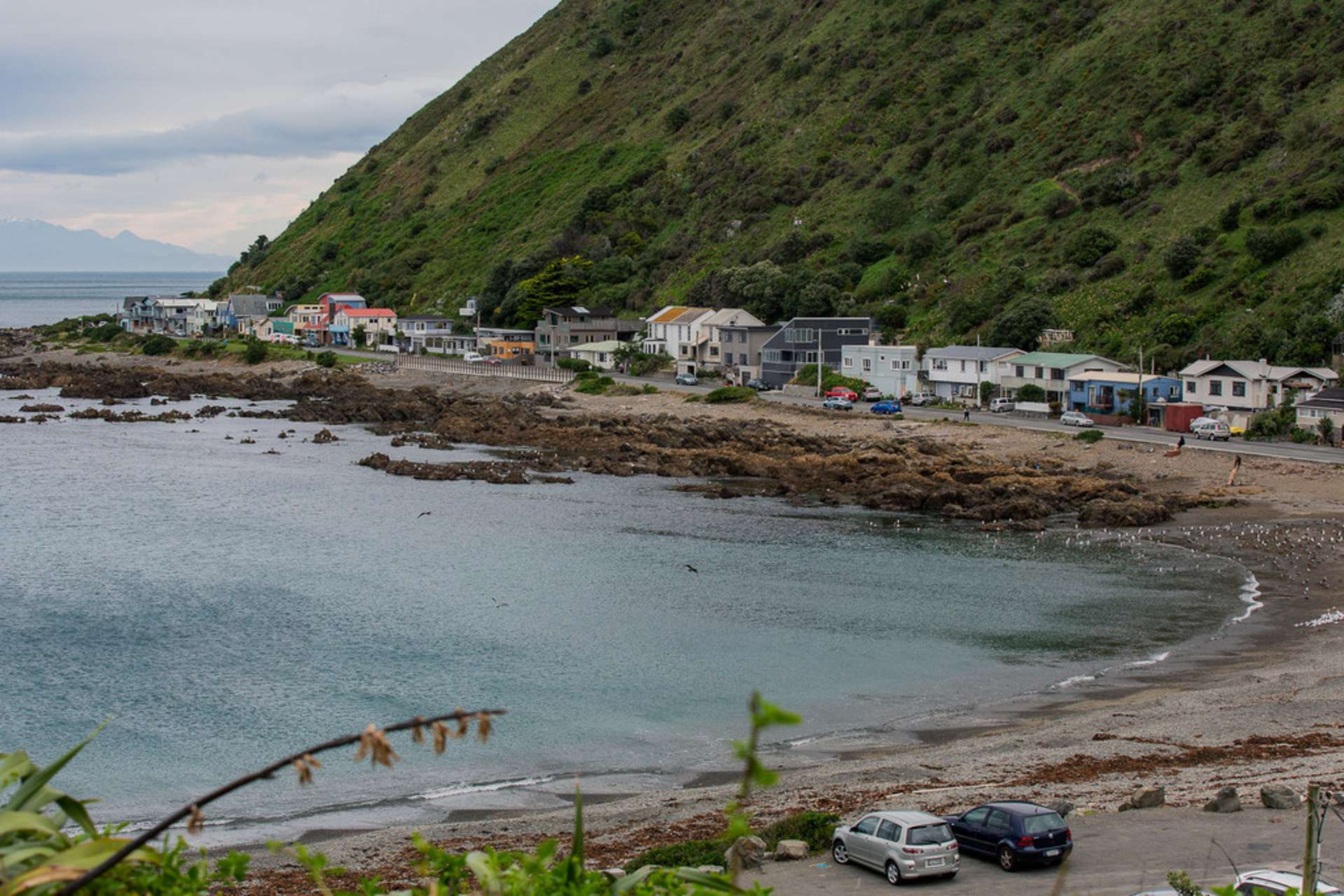 3/48 Owhiro Bay Parade Owhiro Bay_0