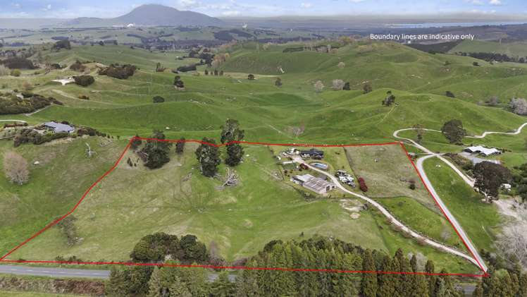 333 Palmer Mill Road Wairakei_1