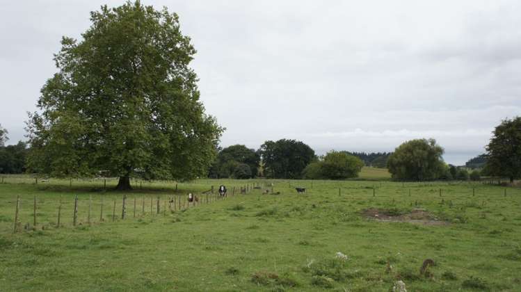 241 Saint Leger Road Kihikihi_8