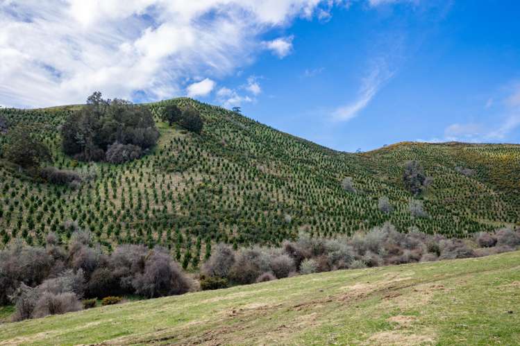 121 Win Valley Road Dovedale_17