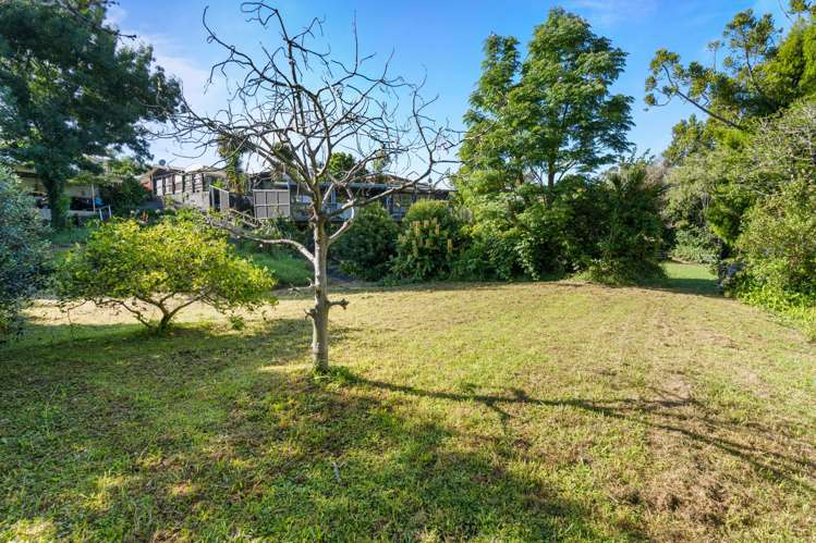 20 Brown Road Warkworth_22