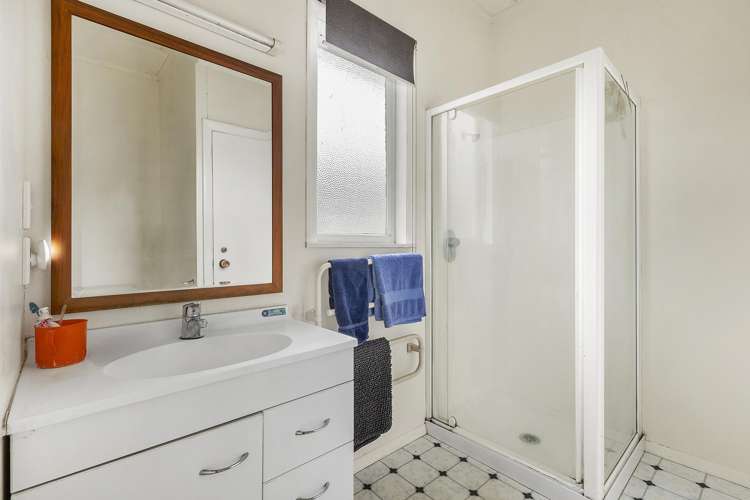 56 Devonshire Road Miramar_16