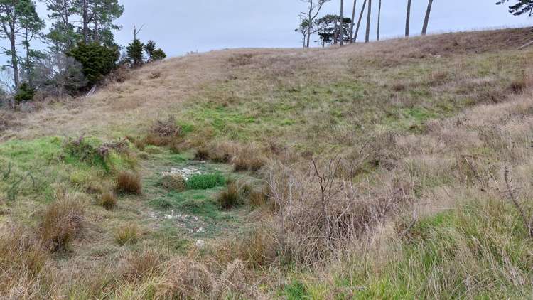 Wearmouth Road Paparoa_18