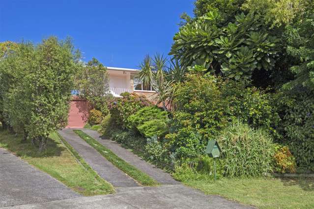 75 Andrew Road Howick_4